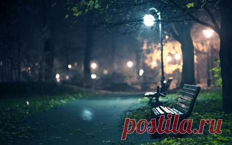 Park Benches Full HD Wallpaper and Background | 2560x1600 | ID:410698 View, download, comment, and rate this 2560x1600 Park Benches Wallpaper - Wallpaper Abyss