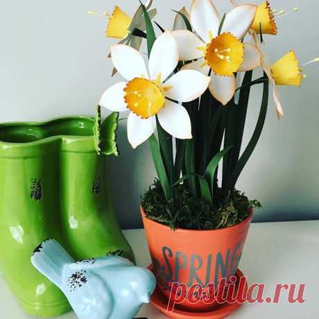 Just finished this delightful pot of daffodils for a mother day event. What do you think? Perfect gift? #abmlifeissweet #abmlifeiscolorful #backdrops #bhgflowers #colorventures #calledtobecreative #creativeartist #dsfloral #eventdecor #eventdesign #eventstyling #eventplanner #finditliveit #homedecor #liveauthentic #livecolorfully #nothingisordinary #petitejoys #risingtidesociety #trendy #thehappynow #uniqueweddings #wedding #wanderlust #wedding