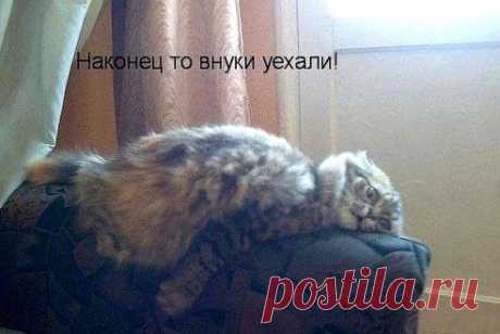 Бедолага! )))