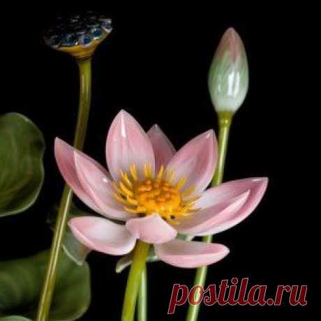 (99+) Одноклассники