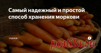 Самый надежный и простой способ хранения моркови Она останется свежей и хрустящей, не загниет и не прорастет до весны, а то и дольше