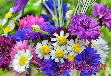 Земля смеется Цветами...
Ралф Уолдо Эмерсон
**