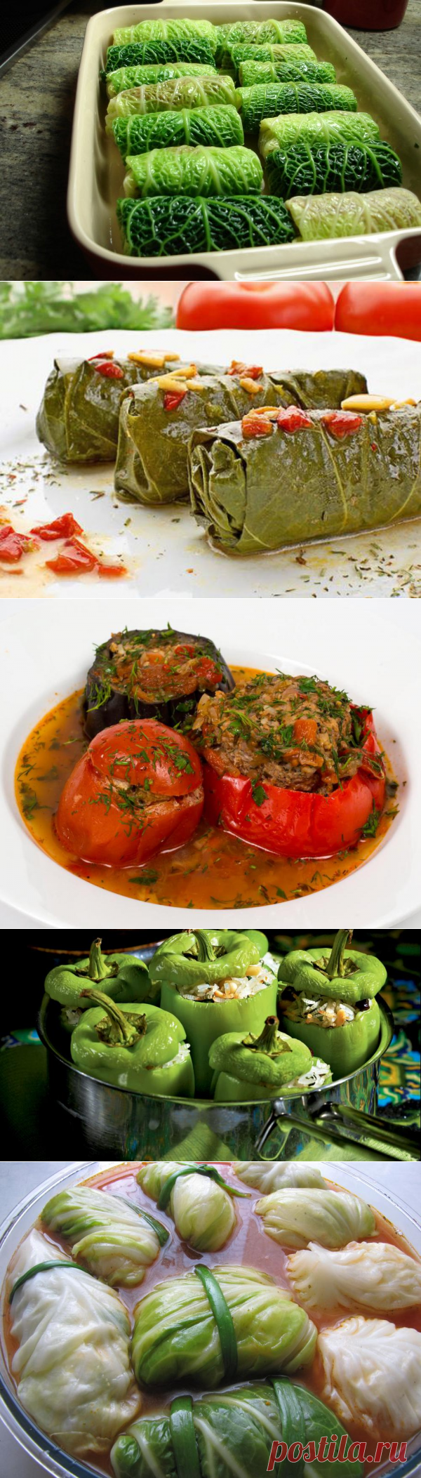 5 невероятно вкусных рецептов долмы, толмы и голубцов