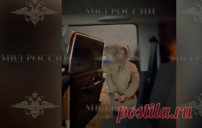 ТАСС: курьер в Новосибирске признался, что ударил пенсионерку из-за оскорбления. Решается вопрос об избрании меры пресечения молодому человеку