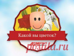 Тест: какой вы цветок? - Досуг - Аргументы и Факты