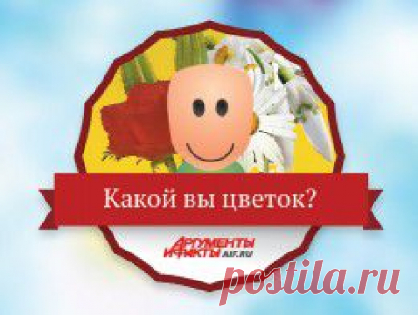 Тест: какой вы цветок? - Досуг - Аргументы и Факты