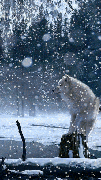 Ledi Afrodita - Google+