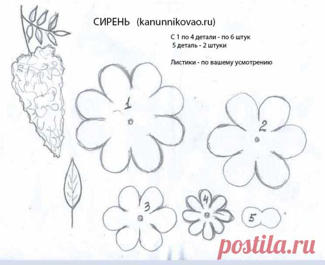 vykroika-sireni.jpg (744×608)