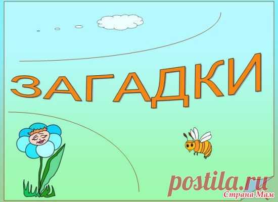 Загадки-обманки для детей