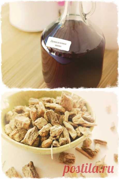 девясил вино | Блог  о красоте и здоровье