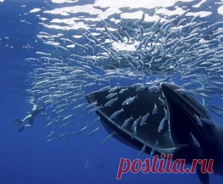 Мой Мир@Mail.Ru