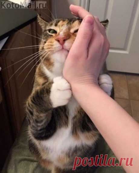 Мой любимый человек