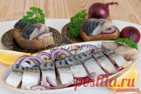 Скумбрия в масле Рецепт приготовления скумбрии в масле. Сегодня я покажу вам самый простой и вкусный способ засолки скумбрии без добавлений ароматных специй и приправ. Для засолки используется только соль и растительное масло без запаха – в итоге скумбрия получается в меру соленая и имеет свой натуральный вкус.