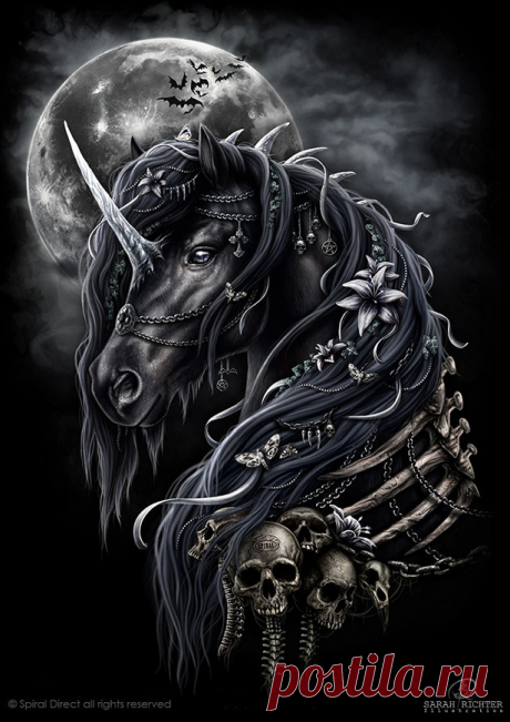 sarah-richter-unicorn-logo.jpg (615×870)