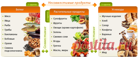 Основные принципы раздельного питания