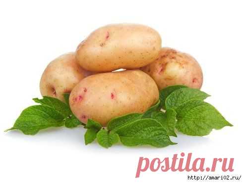 СЕЗОН МОЛОДОЙ КАРТОШКИ СДЕЛАЕТ СВОЁ ДЕЛО. | Город женщин. ЗАХОДИТЕ В ГОСТИ! Уникальная косметика, декоративная косметика, парфюмерия и еще много другой интересной продукции! КАТАЛОГ Faberlic: http://faberlic-lv.jimdo.com/