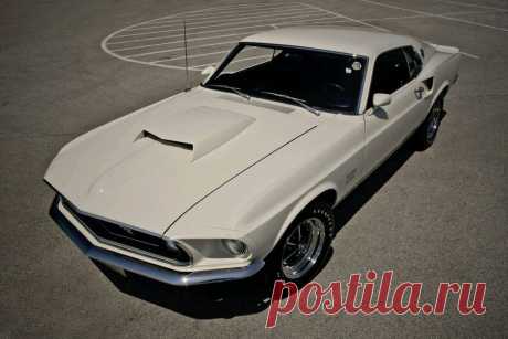 mustang