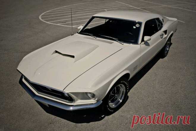 mustang