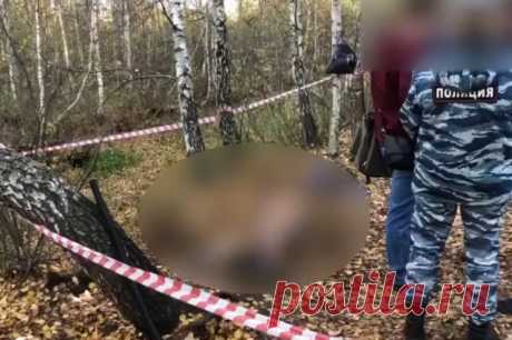 «Это несчастный случай». Вожатый в лагере убил подростка бейсбольной битой. Трагедия случилась во время игры в лапту. Три недели мальчик был в коме. Но так и не пришел в себя. Сейчас он мертв.
