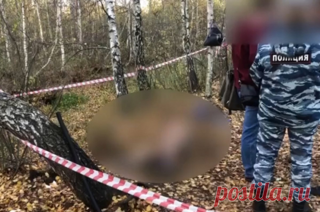 «Это несчастный случай». Вожатый в лагере убил подростка бейсбольной битой. Трагедия случилась во время игры в лапту. Три недели мальчик был в коме. Но так и не пришел в себя. Сейчас он мертв.