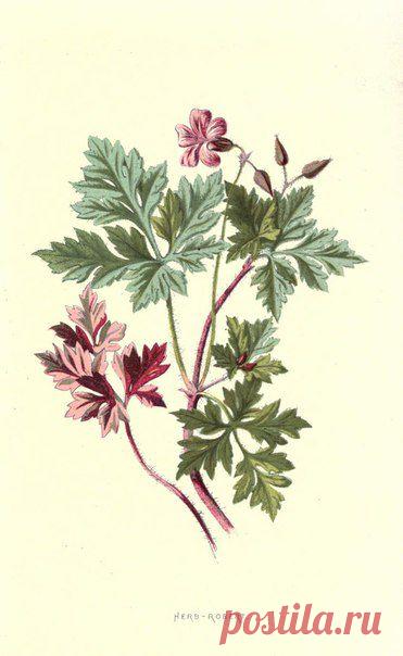 ~ MON PLAISIR ~ Вещи для души. Винтаж,Прованс.