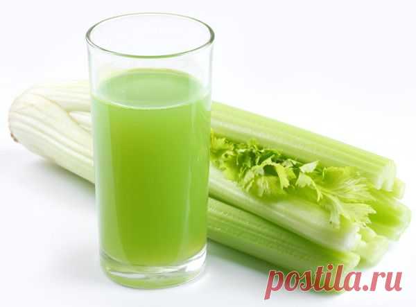 Сок из сельдерея для похудения - кулинарный рецепт на Повар.ру