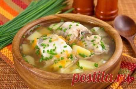 уха | Кулинарные Рецепты