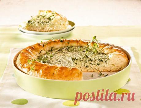 Творожный пирог с зеленью и луком - Пошаговые рецепты с , видео рецепты блюд. Мастер-классы - Кулинария - IVONA - bigmir)net - IVONA