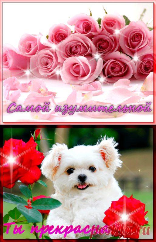 (2) Одноклассники