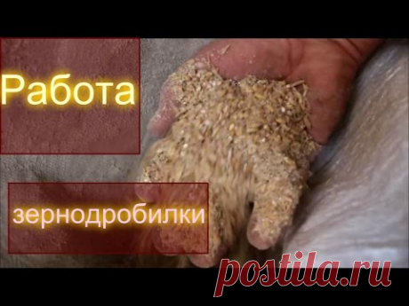 Зернодробилка своими руками. Измельчаем без пыли. Зерно, скорлупу и т.д.