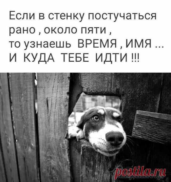 22 классных анекдота, и шутки в картинках Нет ничего лучше людей, заряженных позитивом, с искренней улыбкой и прекрасным настроением — рядом с ними жизнь кажется проще, ярче и приятней.
Дабы улыбка не сходила с Вашего лица и вокруг вас царила...