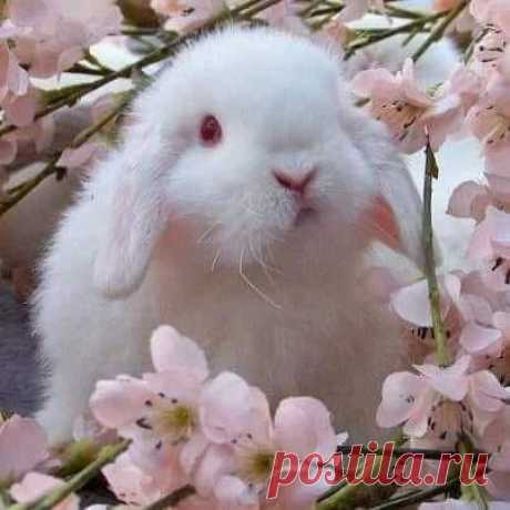 (1) Facebook