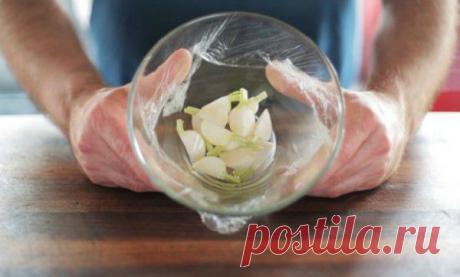 13 советов и хитростей по использованию микроволновки