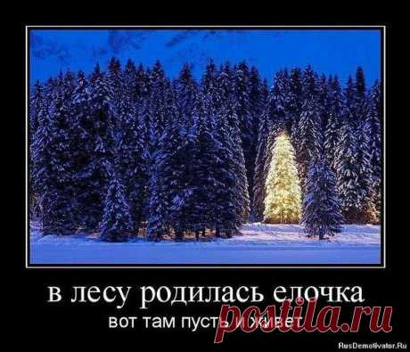Древо Жизни