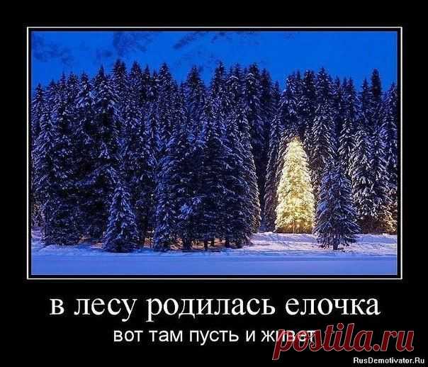 Древо Жизни