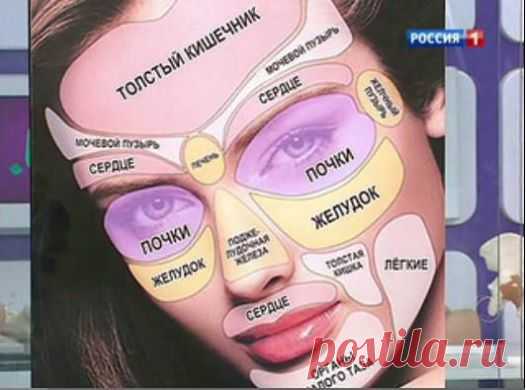 зеркальное отображение органов на лице