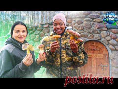 Черничный Хутор. Заключительная серия в этом году со сбором грибов. Готовимся к первым морозам.