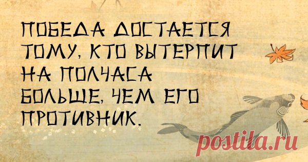 50 японских пословиц, которые острее лезвия ножа