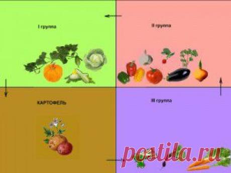 ЧЕРНОБЫЛЬНИК ПОВСЕМЕСТНО РАСТЁТ, ПОЛЫНЬ ОБЫКНОВЕННУЮ КАЖДЫЙ НАЙДЁТ...