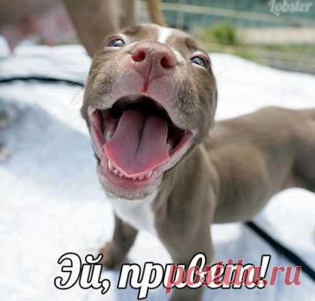 Популярное – Google+