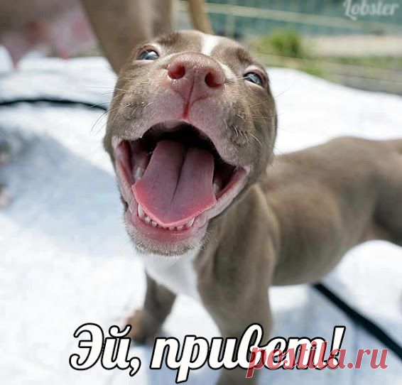 Популярное – Google+