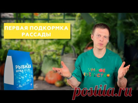 Первая подкормка рассады - когда, чем и зачем?
