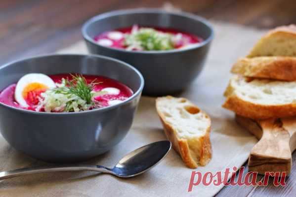 Свекольник холодный – 6 рецептов классических — Домашняя кулинария