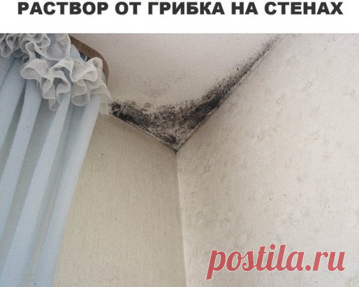 Борьба с грибком на стенах – еще одна тяжкая проблема в ремонте, но после обработки стен таким веществом, вы забудете, как выглядит грибок. Не забывайте проветривать свою квартиру во избежание подобных случаев.
В 5 л. воды нужно кинуть одну таблетку фурацилина, и после обработки вы даже не заметите появления грибка на стенах или потолке. Если ситуация осложняется присутствием плесени, тогда сокращайте пропорции и кидайте таблетку в 1 л воды.