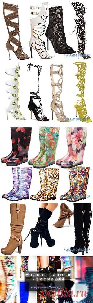Модные сапоги весны 2014 года | Allmoda.net