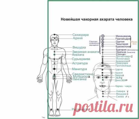 Полная чакорная система человека. - Валерий Аверьянов (Мастер Вар Авера)