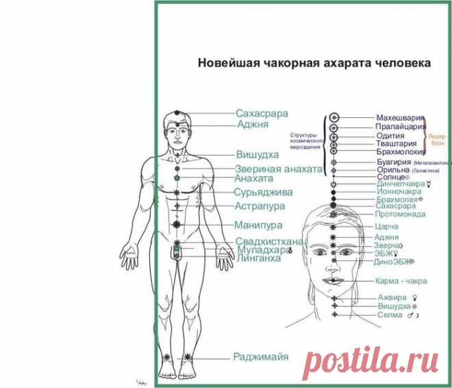 Полная чакорная система человека. - Валерий Аверьянов (Мастер Вар Авера)