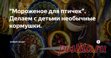 "Мороженое для птичек". Делаем с детьми необычные кормушки. Ждём в гости синичек и снегирей, готовим им угощение!
Помните, как в детстве бабушка вывешивала за окно кусочек сала для синичек? А в кормушки сыпали семечки и зерно. Я - помню! Мы нашли интересный способ соединить оба вида угощения, заполнив таким "мороженным" для птиц яблоки, мандариновые корочки и даже скорлупу от кокоса (так и не придумала, что же из нее можно сделать еще полезного).
Тётя прив