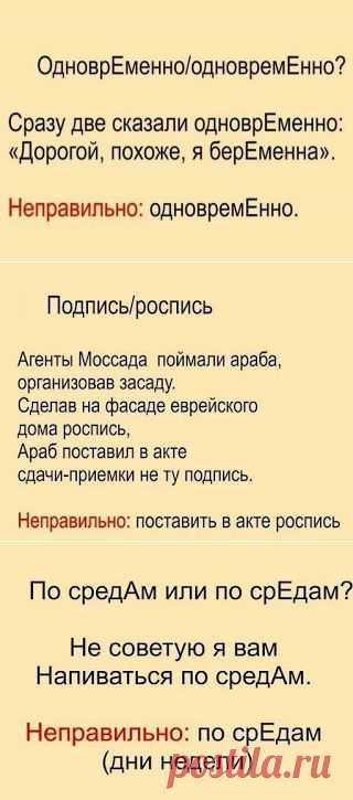 Быть умным - это модно: Стихотворные шпаргалки, позволяющие легко и быстро запомнить, как говорить правильно