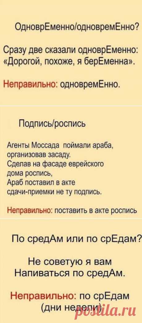 Быть умным - это модно: Стихотворные шпаргалки, позволяющие легко и быстро запомнить, как говорить правильно